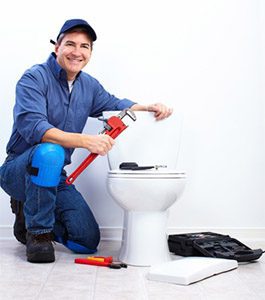 toilet repair simpsonville sc
