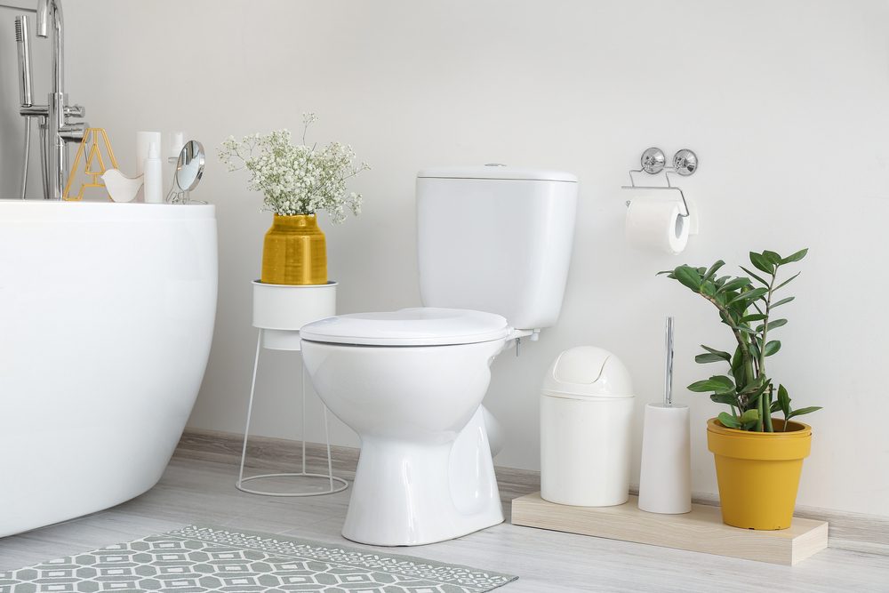 Toilet Repair and Installation Services in Greenville, South Carolina